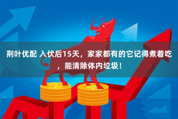 荆叶优配 入伏后15天，家家都有的它记得煮着吃，能清除体内垃圾！