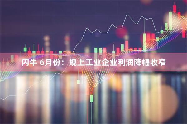 闪牛 6月份：规上工业企业利润降幅收窄