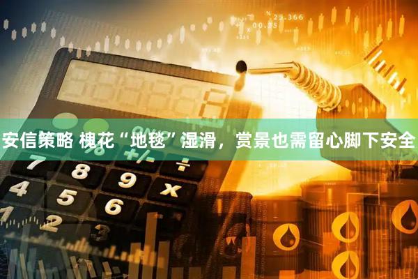 安信策略 槐花“地毯”湿滑，赏景也需留心脚下安全
