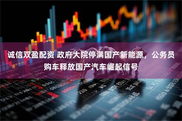 诚信双盈配资 政府大院停满国产新能源，公务员购车释放国产汽车崛起信号