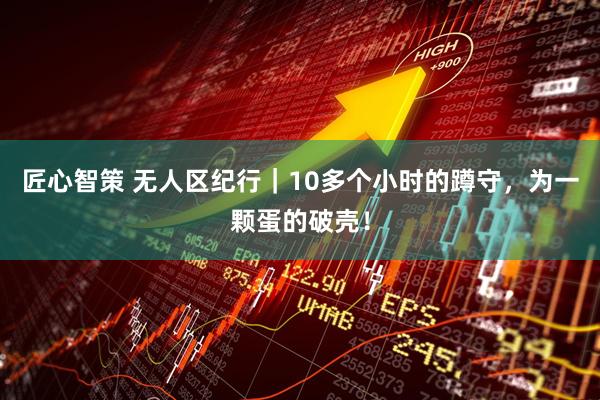 匠心智策 无人区纪行｜10多个小时的蹲守，为一颗蛋的破壳！