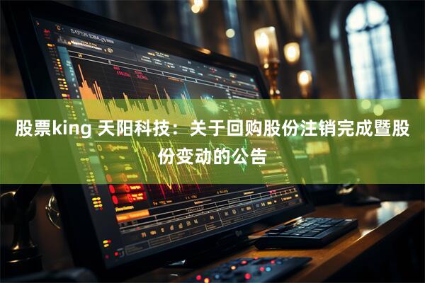 股票king 天阳科技：关于回购股份注销完成暨股份变动的公告
