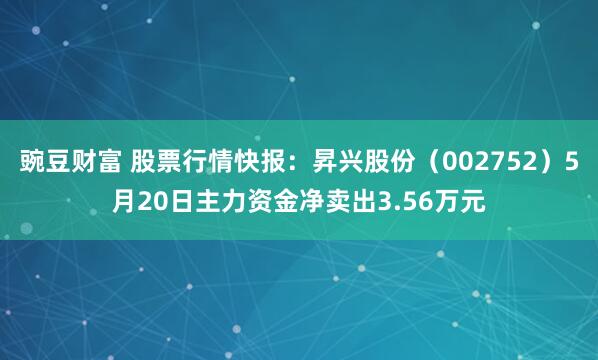 豌豆财富 股票行情快报：昇兴股份（002752）5月20日主力资金净卖出3.56万元